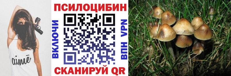 как найти закладки  Туринск  Галлюциногенные грибы Psilocybine cubensis 